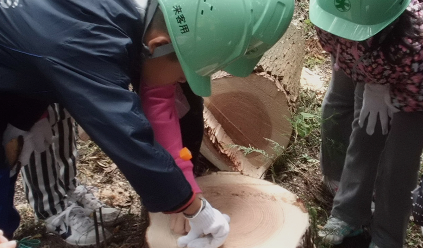 神奈川県木造住宅協会